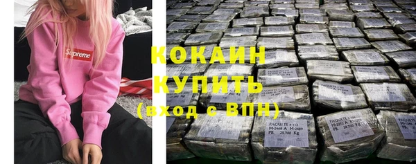 крисы Белокуриха