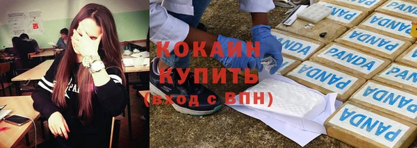 крисы Белокуриха