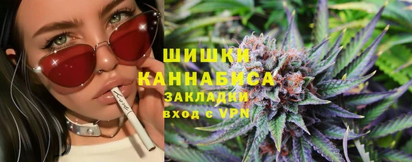крисы Белокуриха