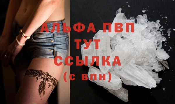 спиды Беломорск