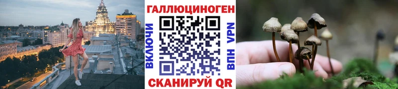 Галлюциногенные грибы GOLDEN TEACHER  Краснокаменск 